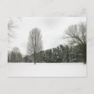 Carte Postale Scène hivernale