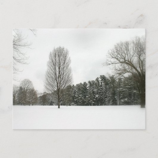Carte Postale Scène hivernale (Devant)