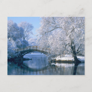 Carte Postale Scène hivernale