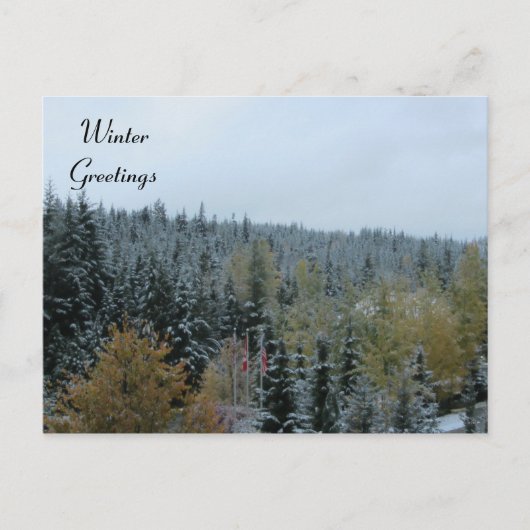 Carte Postale Scène hivernale à Whistler, C.-B. (Devant)