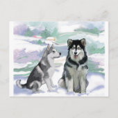 Carte Postale Scène hivernale de malamute en Alaska (Devant)