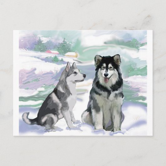 Carte Postale Scène hivernale de malamute en Alaska (Devant)