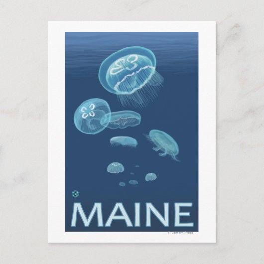 Carte Postale Scène MaineJellyfish (Devant)
