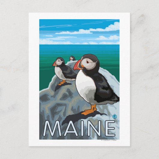 Carte Postale Scène MainePuffins (Devant)