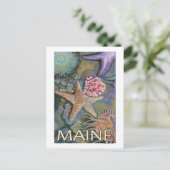 Carte Postale Scène MaineTidepool (Debout devant)