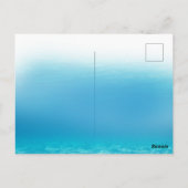 Carte Postale Scène mythique gracieuse de sirène (Dos)