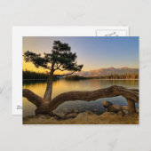 Carte Postale Scène naturelle (Devant / Derrière)