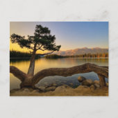 Carte Postale Scène naturelle (Devant)