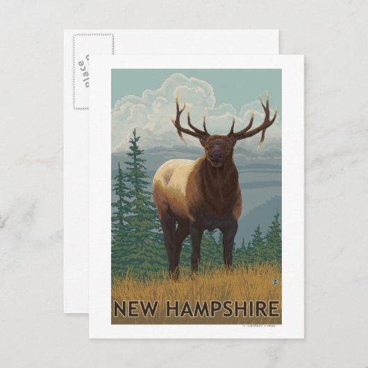 Carte Postale Scène New HampshireElk (Devant / Derrière)