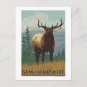 Carte Postale Scène New HampshireElk (Devant)