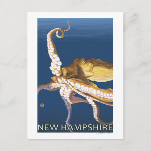 Carte Postale Scène New HampshireOctopus