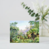 Carte Postale Scène nord - Forêt dans l'ouest de l'Australie (Debout devant)