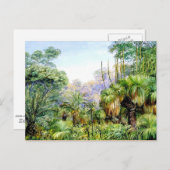 Carte Postale Scène nord - Forêt dans l'ouest de l'Australie (Devant / Derrière)