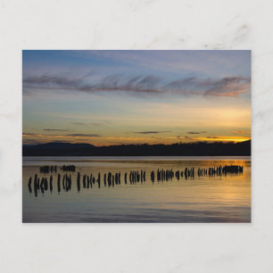 Carte Postale Scène pacifique