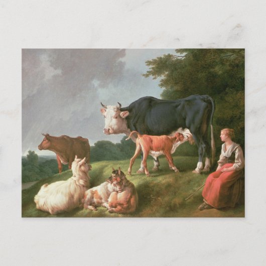 Carte Postale Scène pastorale (Devant)