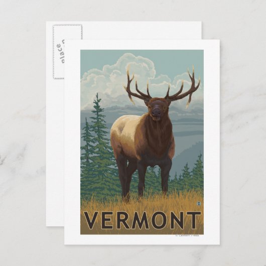Carte Postale Scène VermontElk (Devant / Derrière)