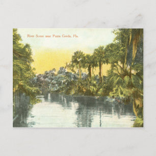 Carte Postale Scène vintage de la rivière Peace, Punta Gorda Flo