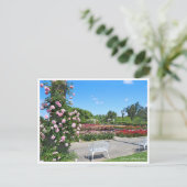 Carte Postale Scenery of Rose Garden ポストカード (Debout devant)