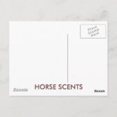 CARTE POSTALE SCÈNES CHEVAUX (Dos)