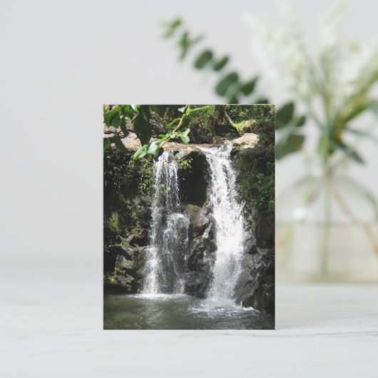 Carte postale Scènes de chute d'eau (Debout devant)