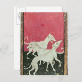 Carte Postale Scènes de faucons (Devant / Derrière)