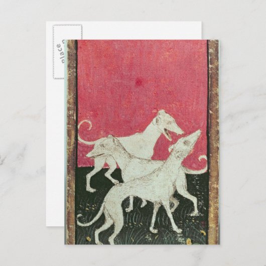 Carte Postale Scènes de faucons (Devant / Derrière)