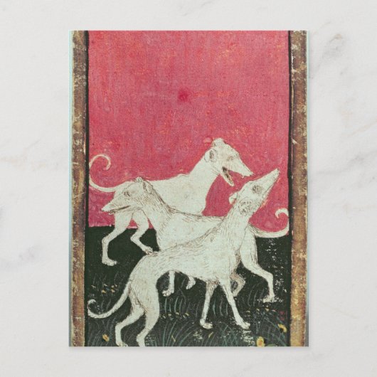 Carte Postale Scènes de faucons (Devant)