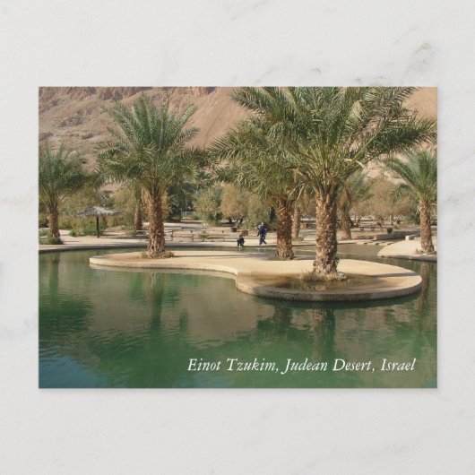 Carte Postale Scènes et images de Terre Sainte d'Israël (Devant)