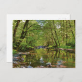 Carte Postale Scenic of Wilson (Devant / Derrière)