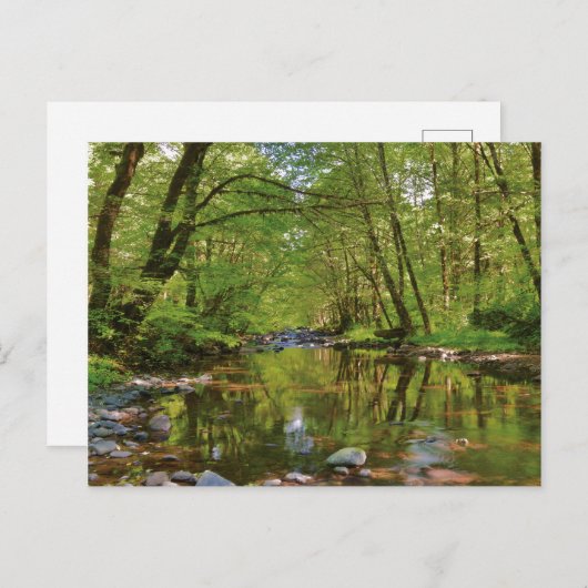 Carte Postale Scenic of Wilson (Devant / Derrière)