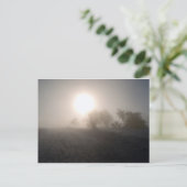 Carte Postale schaft (Debout devant)