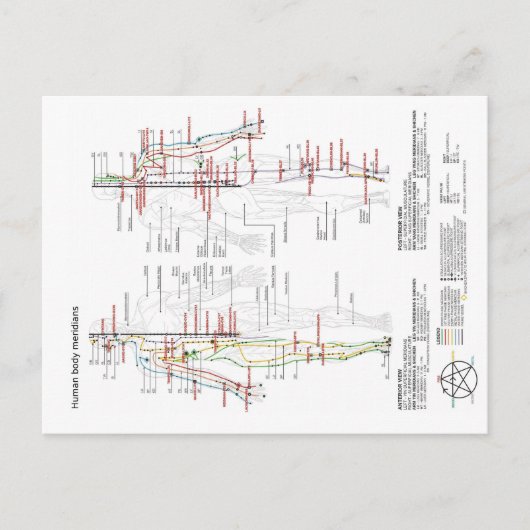 Carte Postale Schéma chinois Corps humain Méridiens (Devant)