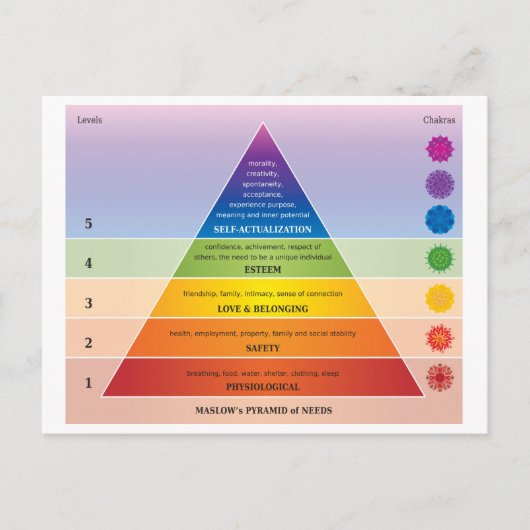 Carte Postale Schéma de la pyramide des besoins de Maslow / Grap (Devant)