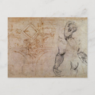 Carte Postale Schéma du plafond de la chapelle Sixtine, c.1508