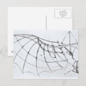 Carte Postale Schéma d'une aile mécanique (Devant / Derrière)