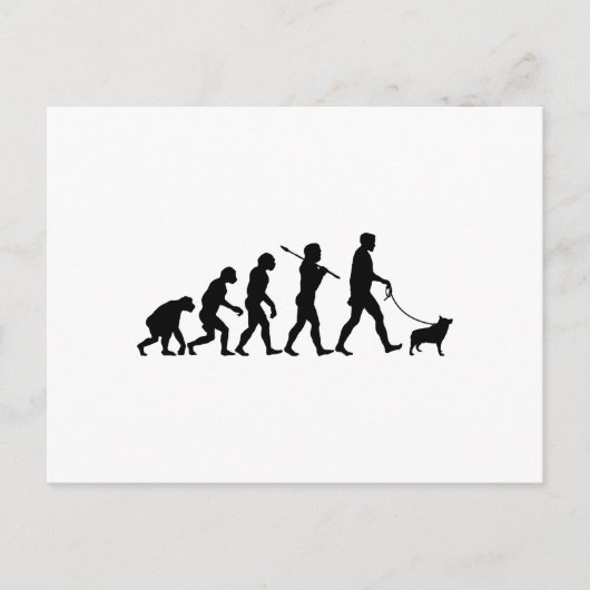 Carte Postale Schipperke (Devant)