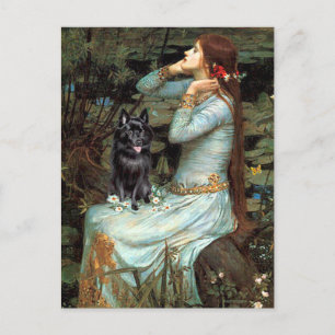 Carte Postale Schipperke 4 - Ophelia assise