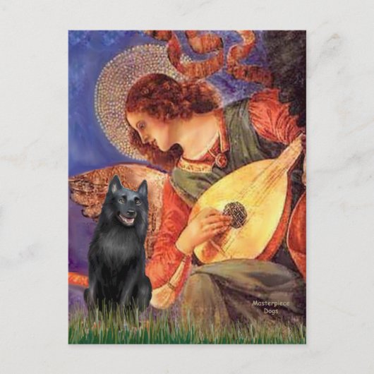 Carte Postale Schipperke 5 - Ange à la mandoline (Devant)