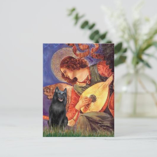 Carte Postale Schipperke 5 - Mandolin Angel (Debout devant)