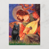 Carte Postale Schipperke 5 - Mandolin Angel (Devant)