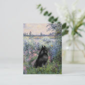 Carte Postale Schipperke 6 - Au bord de la Seine (Debout devant)