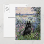 Carte Postale Schipperke 6 - Au bord de la Seine (Devant / Derrière)