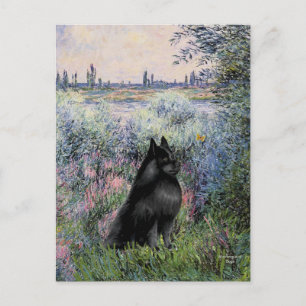 Carte Postale Schipperke 6 - Au bord de la Seine
