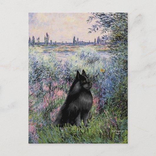 Carte Postale Schipperke 6 - Au bord de la Seine (Devant)