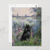 Carte Postale Schipperke 6 - Sur la Seine (Devant / Derrière)