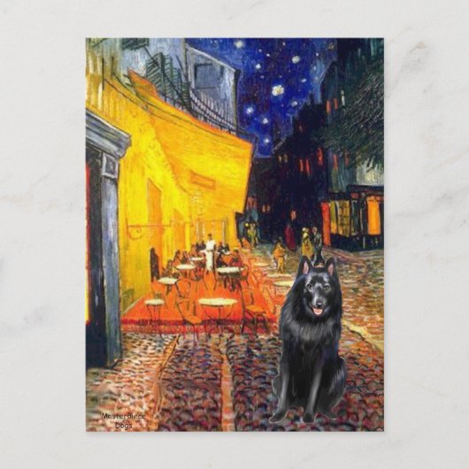 Carte Postale Schipperke 7 - Café Terrasse (Devant)