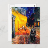 Carte Postale Schipperke 7 - Terrace Café (Devant / Derrière)