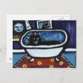 Carte Postale Schipperke bain lunique (Devant / Derrière)