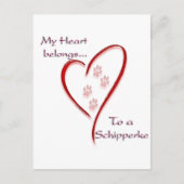 Carte Postale Schipperke Coeur Appartient (Devant)
