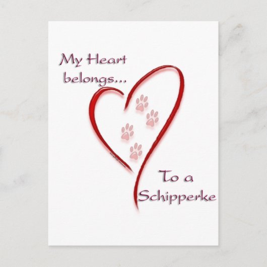Carte Postale Schipperke Coeur Appartient (Devant)